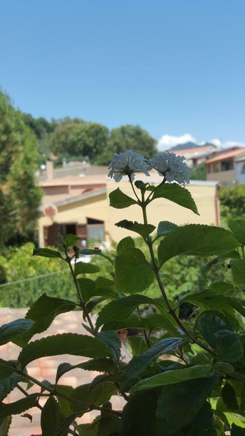 Bed and Breakfast Il Girasole Domus De Maria Exterior foto